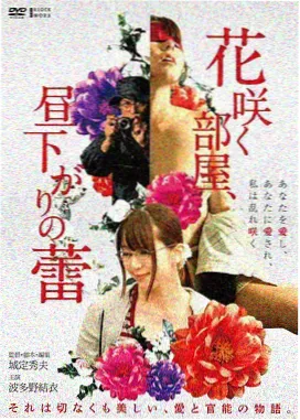 归途有风无删减版封面